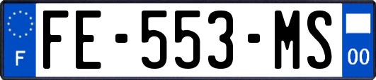 FE-553-MS