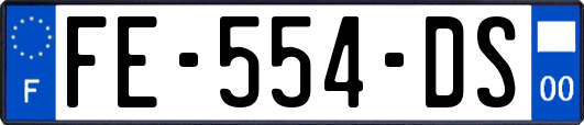 FE-554-DS