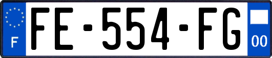 FE-554-FG