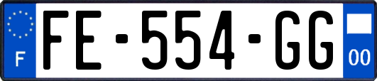 FE-554-GG