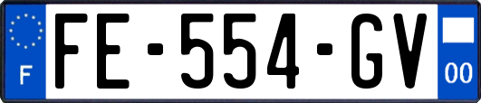 FE-554-GV