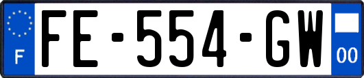 FE-554-GW