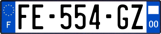 FE-554-GZ