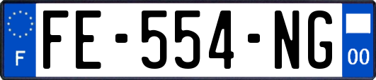 FE-554-NG
