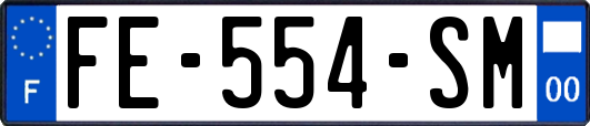 FE-554-SM
