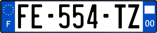 FE-554-TZ