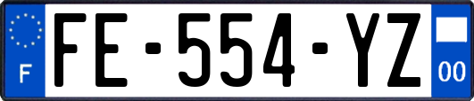FE-554-YZ