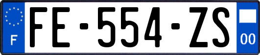 FE-554-ZS