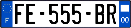 FE-555-BR