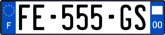 FE-555-GS