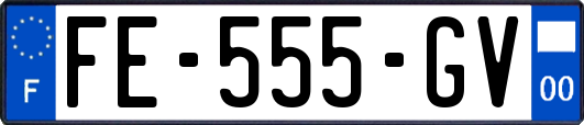 FE-555-GV