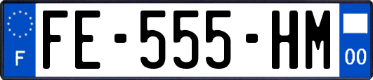 FE-555-HM