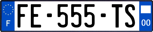 FE-555-TS
