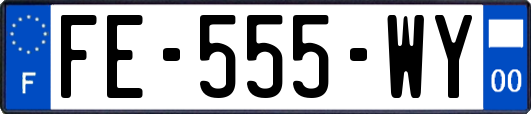 FE-555-WY