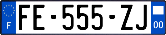 FE-555-ZJ