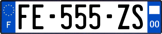 FE-555-ZS