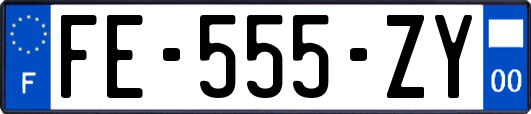 FE-555-ZY