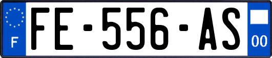 FE-556-AS