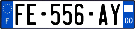 FE-556-AY