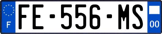 FE-556-MS