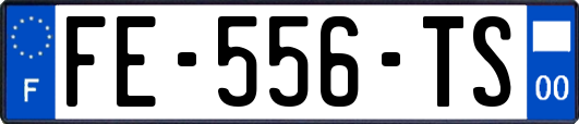 FE-556-TS