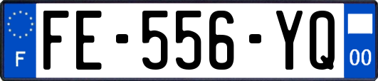 FE-556-YQ