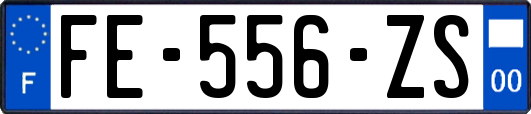 FE-556-ZS