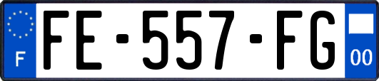 FE-557-FG