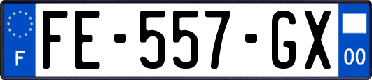 FE-557-GX