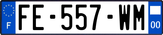 FE-557-WM