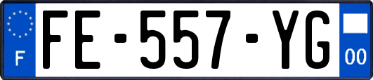 FE-557-YG