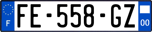FE-558-GZ