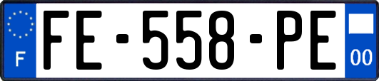 FE-558-PE