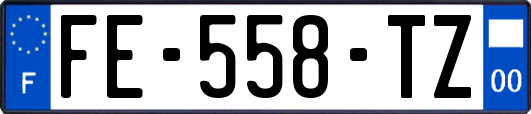FE-558-TZ