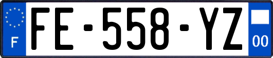 FE-558-YZ
