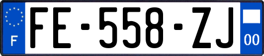 FE-558-ZJ