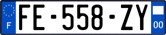 FE-558-ZY