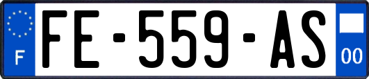 FE-559-AS
