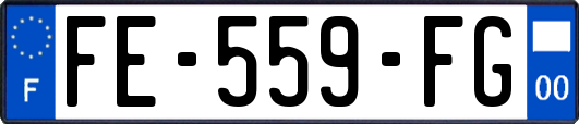 FE-559-FG