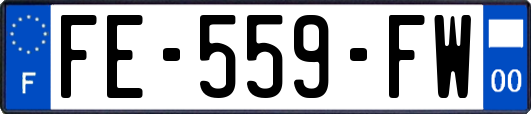 FE-559-FW