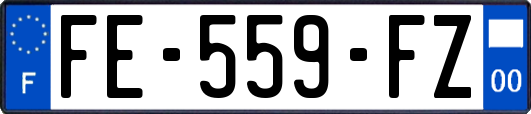 FE-559-FZ