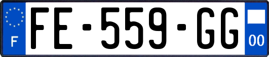 FE-559-GG