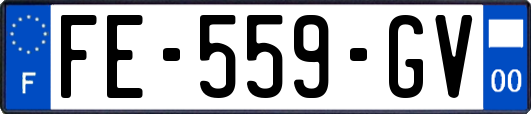 FE-559-GV