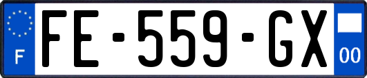 FE-559-GX