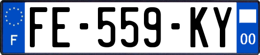 FE-559-KY