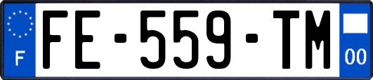 FE-559-TM