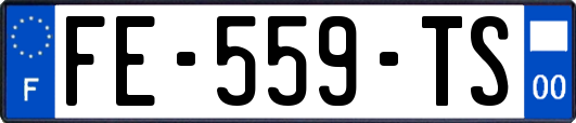 FE-559-TS