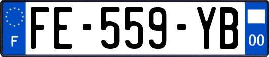 FE-559-YB