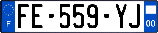 FE-559-YJ