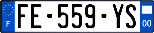 FE-559-YS